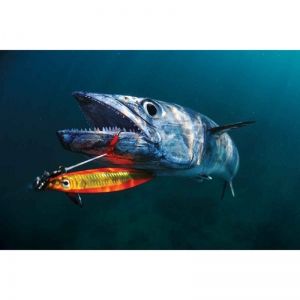 Slow Pitch Jigging — искусство ловли рыбы на кусок металла