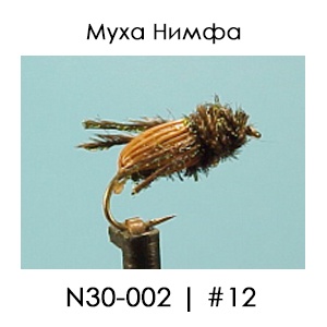 Английски Мухи Нимфи | N30/002 CochyBondhu Beetle