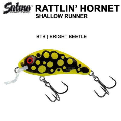 Salmo Rattlin Hornet SR | BTB | BRIGHT BEETLE