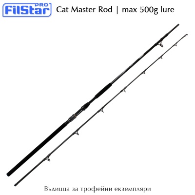 Filstar Cat Master 3.10m | Удилище