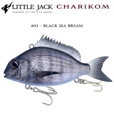 Little Jack Charikom | 03 - Black Sea Bream