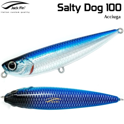 Jack Fin Salty Dog 100 | Acciuga